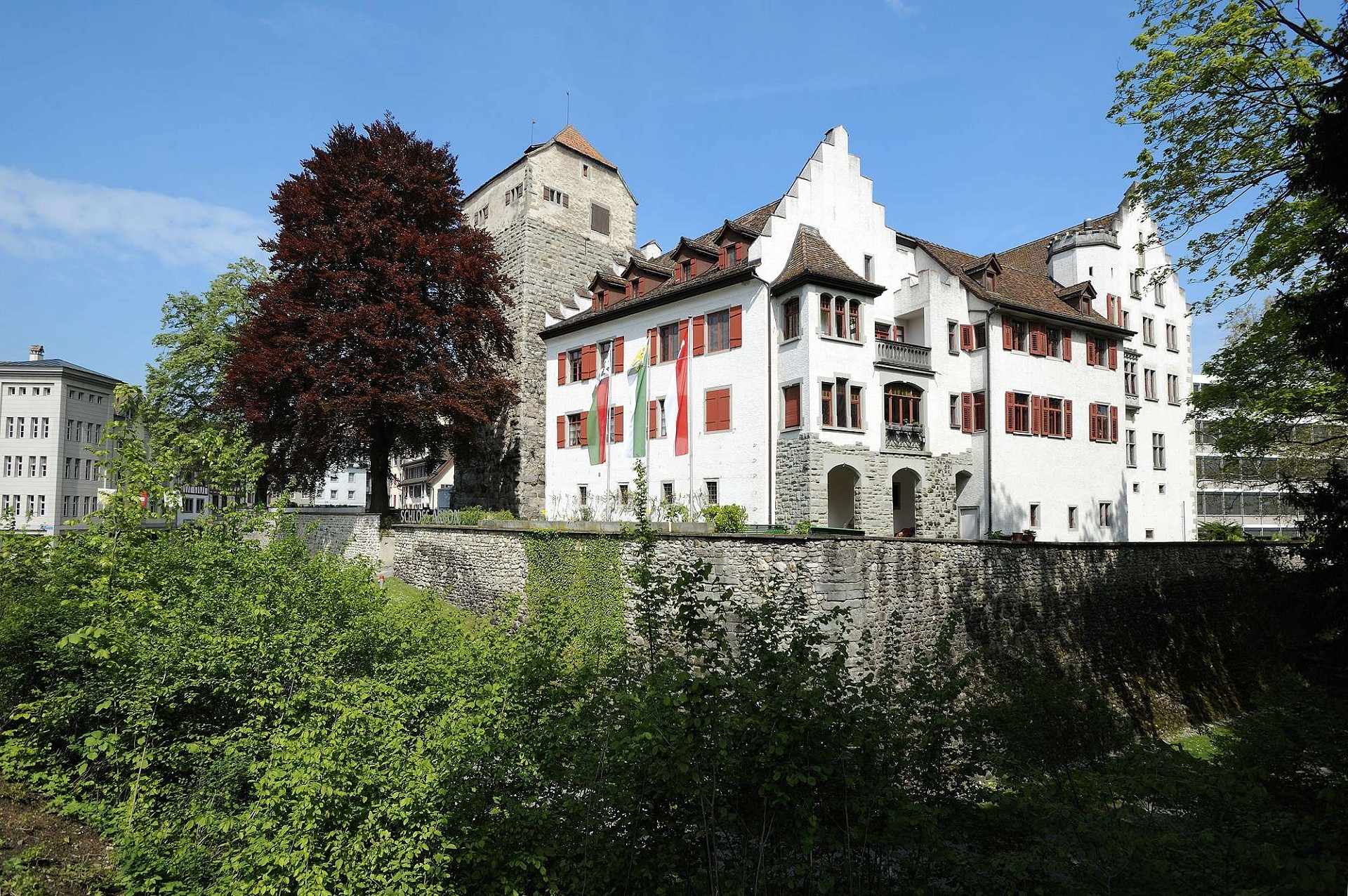 Historisches Museum im Schloss Arbon Bild 1