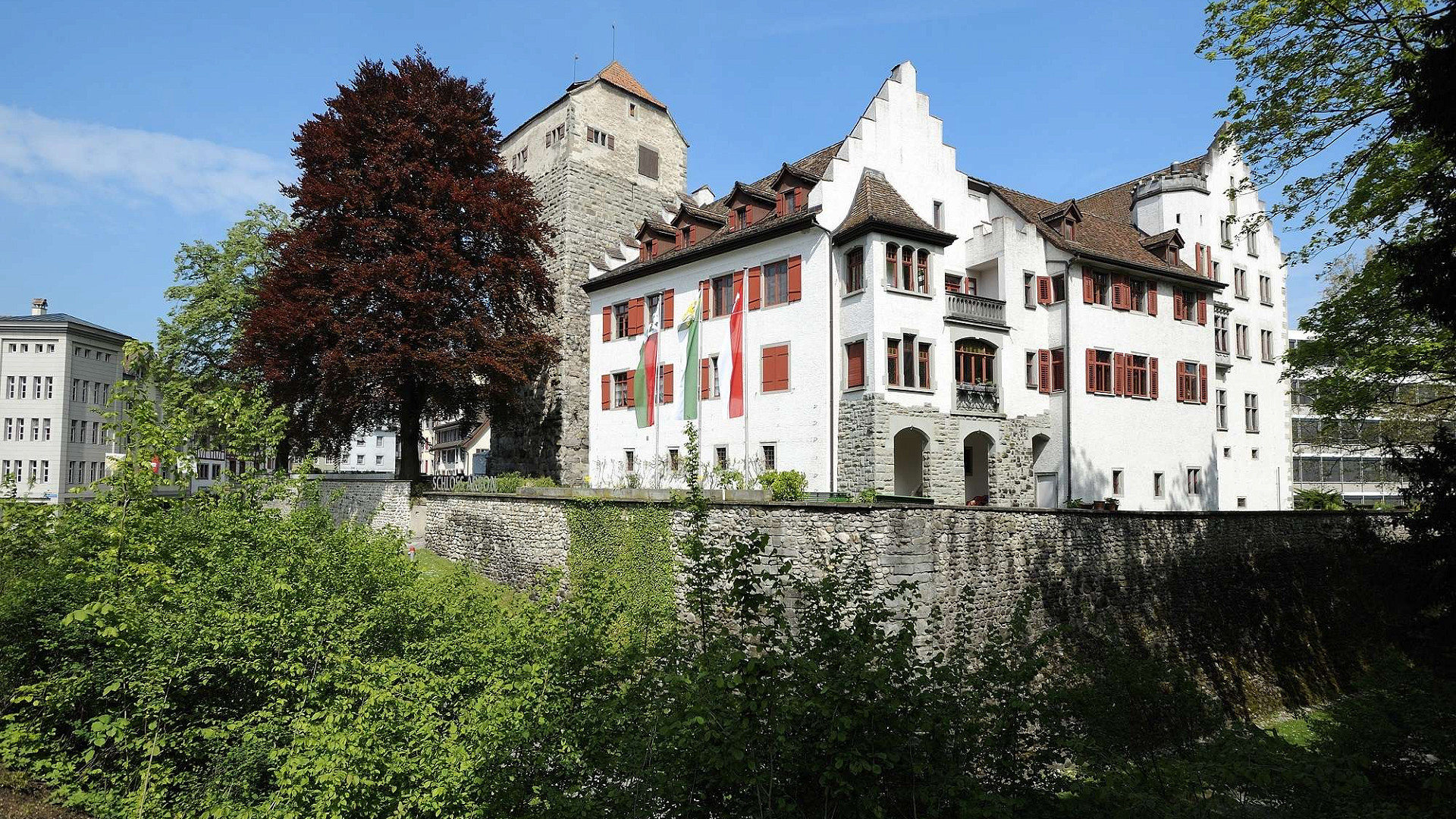 Historisches Museum im Schloss Arbon Bild 1