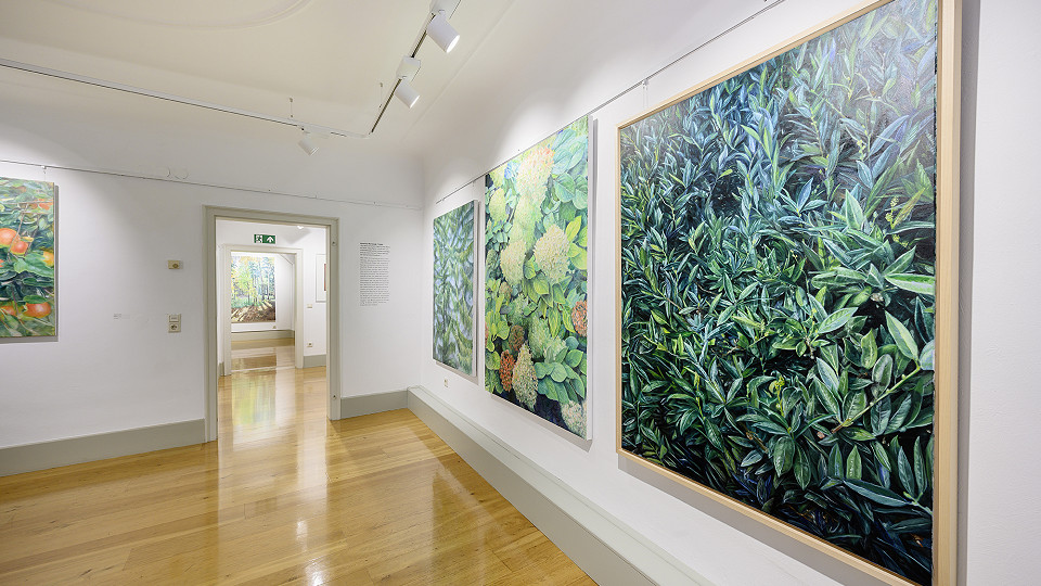 
        ROTES HAUS I MEERSBURG
        Bild 2