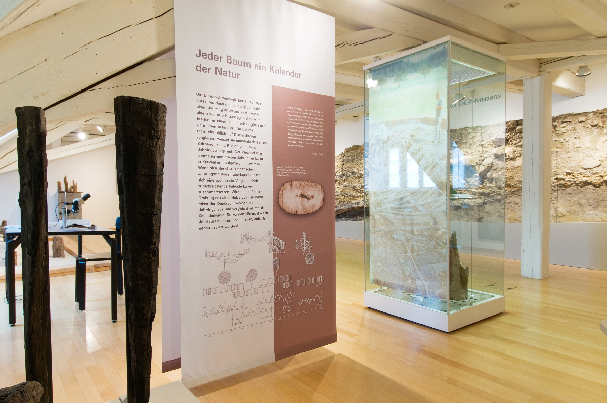 
            Museum für Archäologie Thurgau
            Bild 2