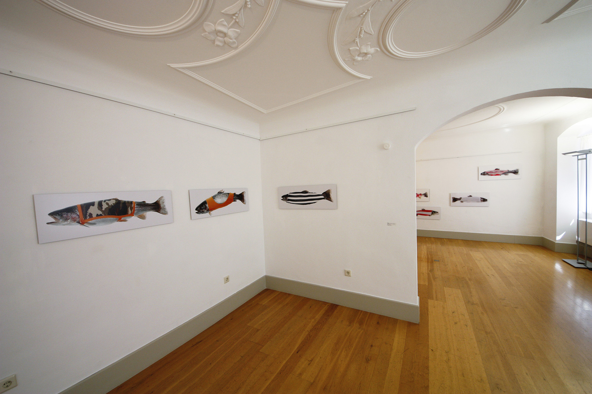 ROTEs HAUS Galerie Bodenseekreis Bild 2