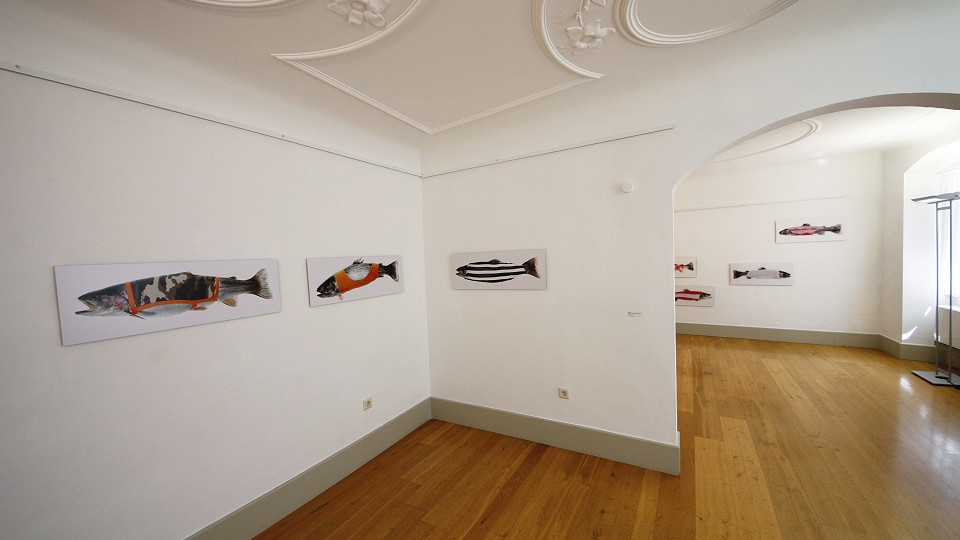 ROTEs HAUS Galerie Bodenseekreis Bild 2